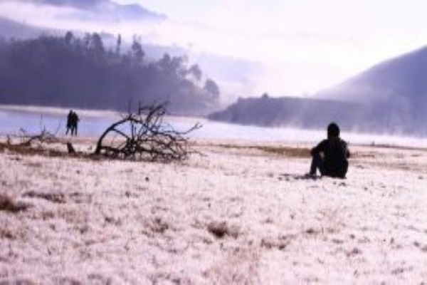 Nhẹ bước chân trần trên những bông “cỏ tuyết” ở Đà Lạt